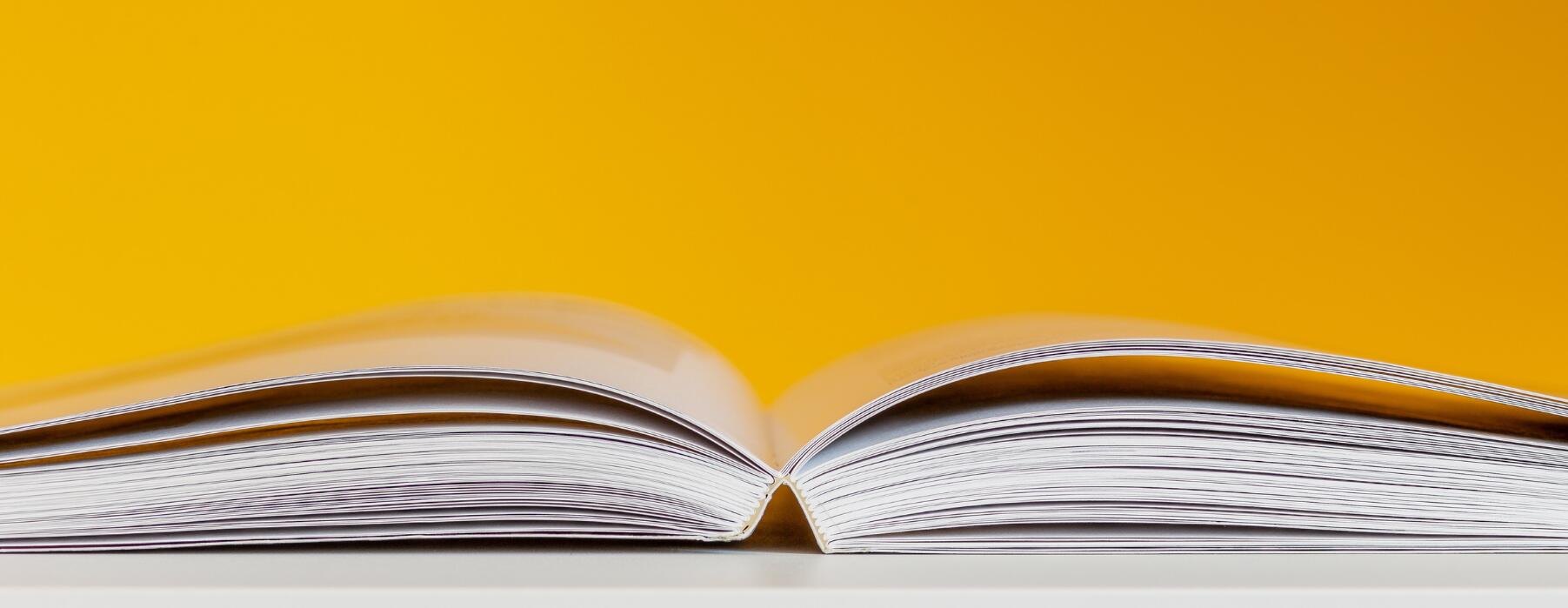 Open book on yellow background